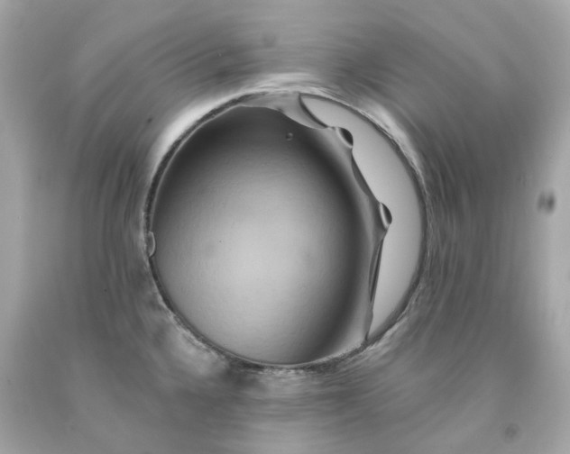 X0000091591336200709101032