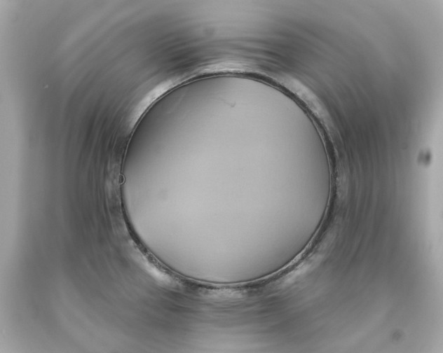 X0000091591337200709101032