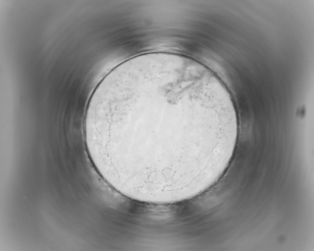 X0000091591338200709101032