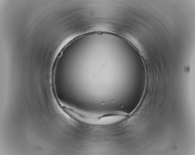 X0000091591339200709101032