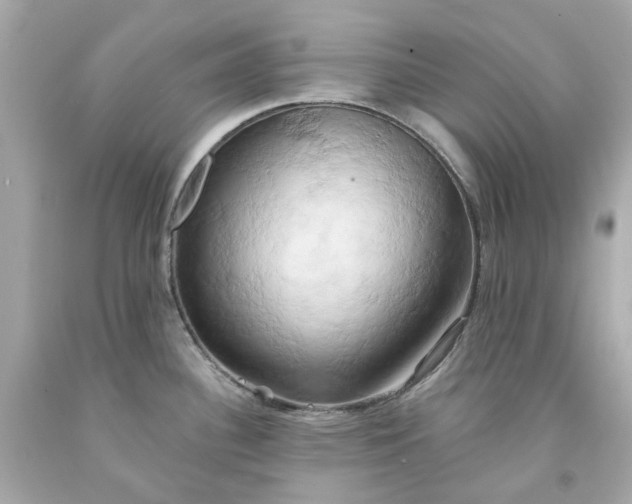 X0000091591340200709101032