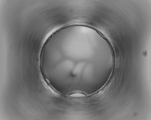 X0000091591341200709101032