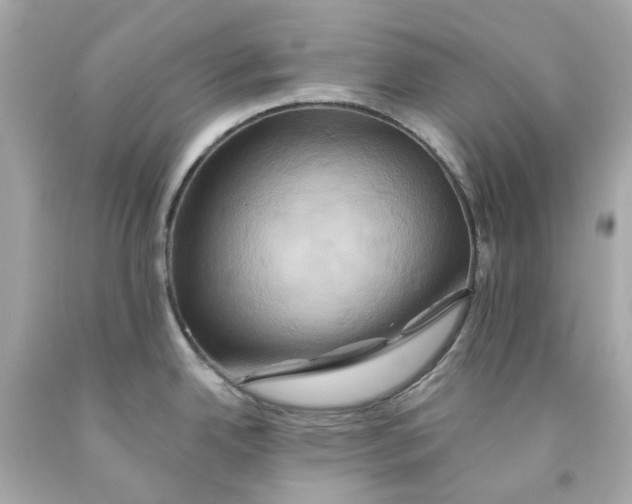 X0000091591342200709101032