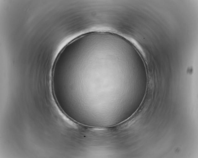 X0000091591343200709101032