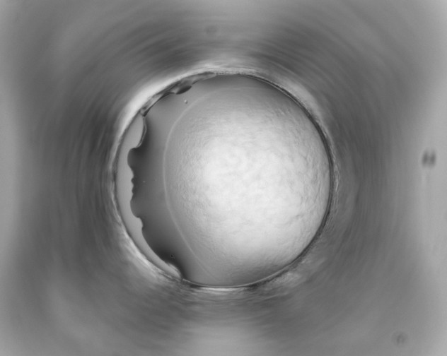 X0000091591344200709101032