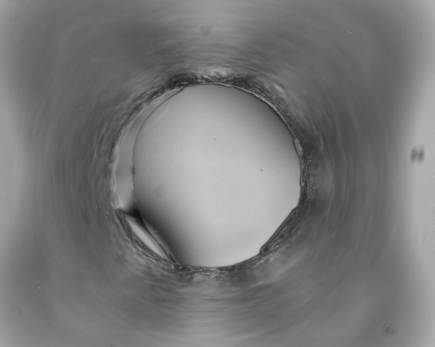 X0000091591345200709101032