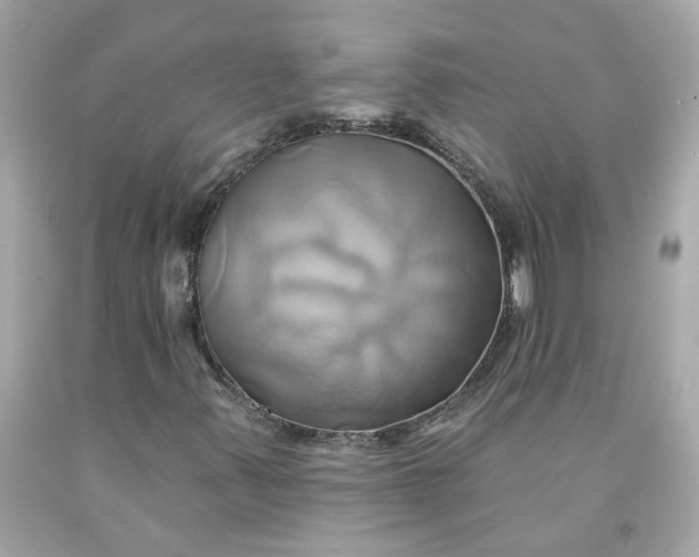 X0000091591347200709101032