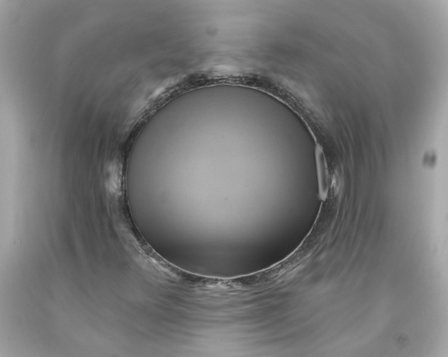 X0000091591348200709101032