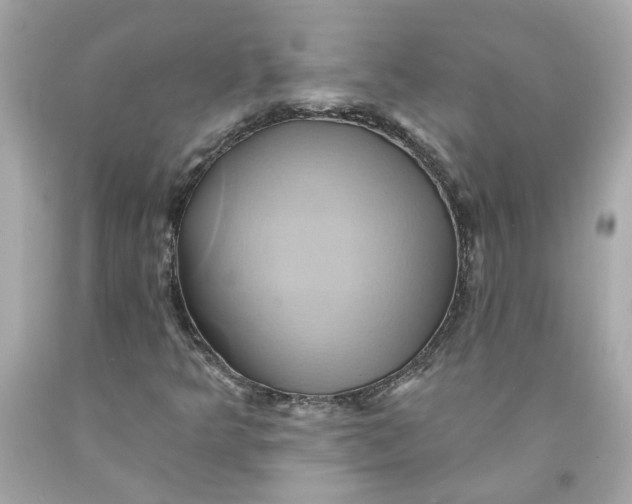 X0000091591349200709101032