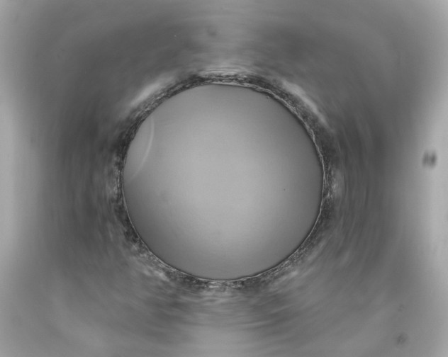 X0000091591350200709101032