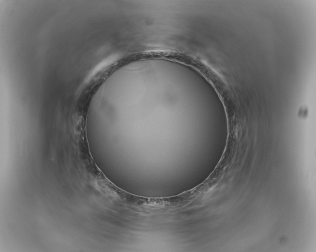 X0000091591351200709101032