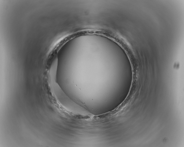 X0000091591352200709101032