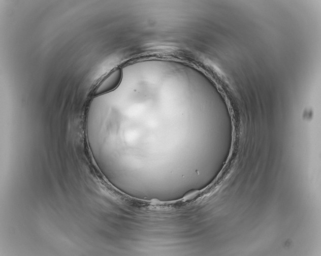 X0000091591354200709101032