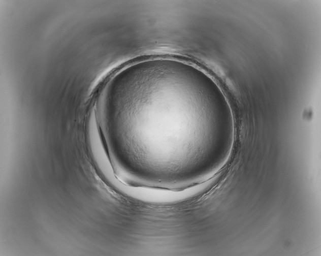 X0000091591356200709101031