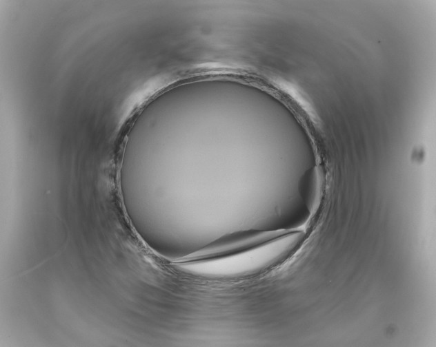 X0000091591357200709101031