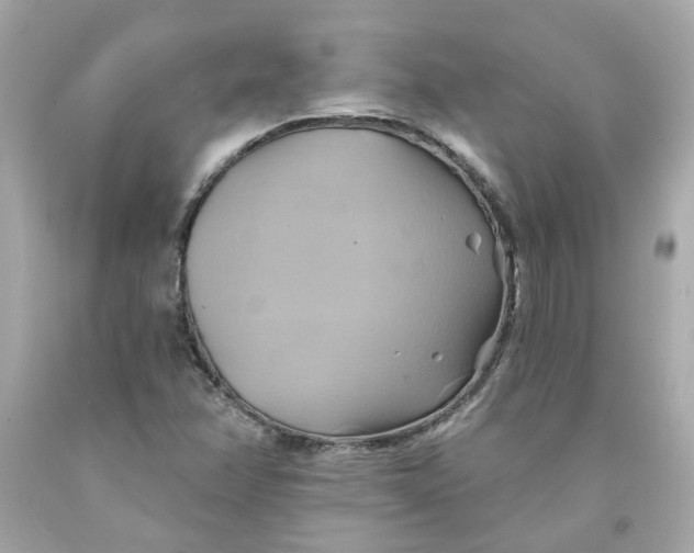 X0000091591358200709101031