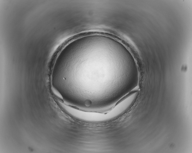 X0000091591360200709101031