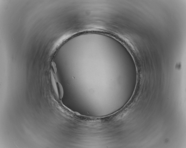 X0000091591363200709101031