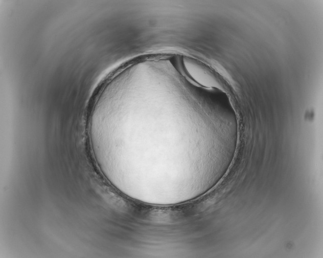 X0000091591364200709101031