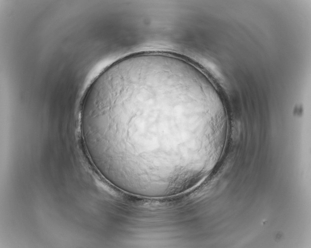 X0000091591366200709101031