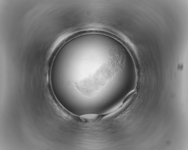 X0000091591368200709101031