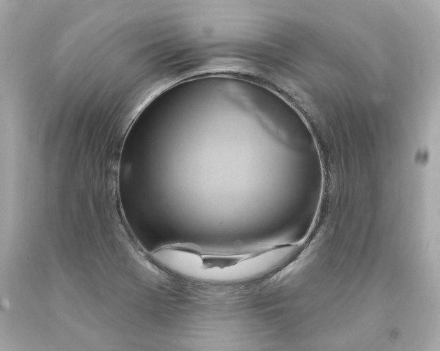 X0000091591369200709101031