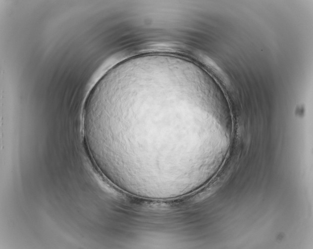 X0000091591370200709101031