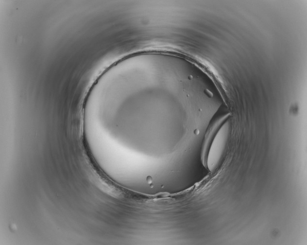 X0000091591371200709101031