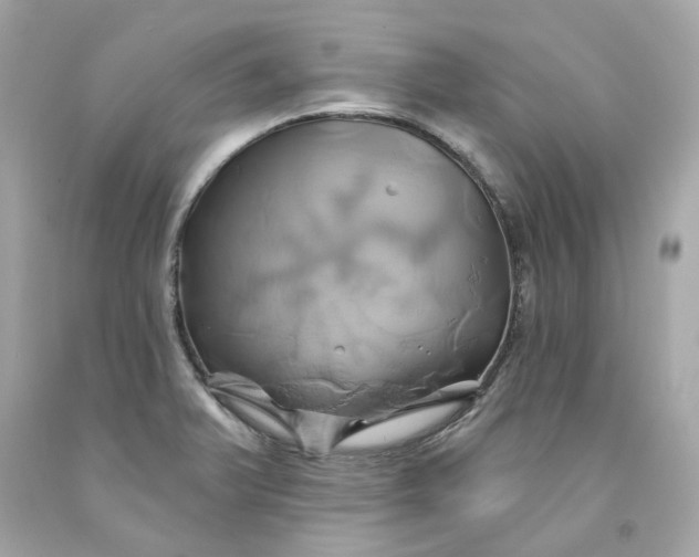 X0000091591375200709101031