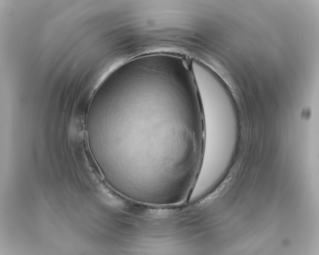 X0000091591377200709101031