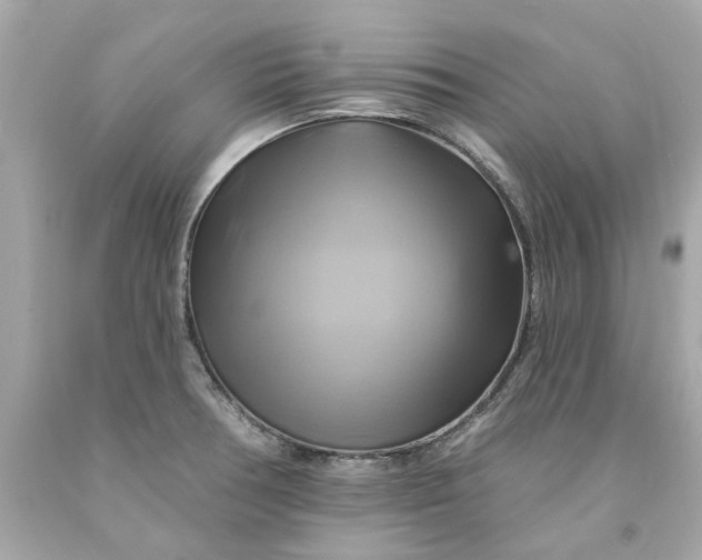 X0000091591378200709101031