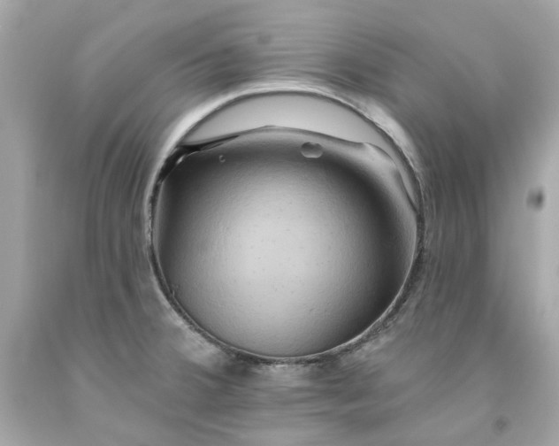 X0000091591380200709101031