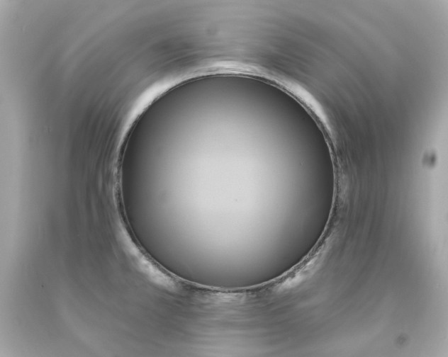 X0000091591381200709101031