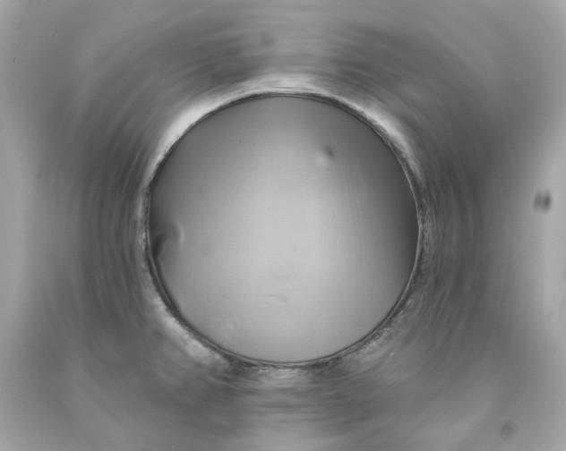 X0000091591382200709101031