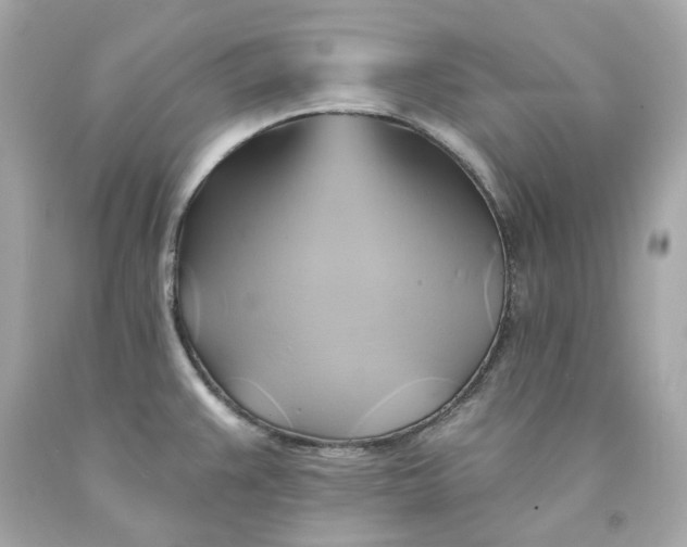 X0000091591383200709101031