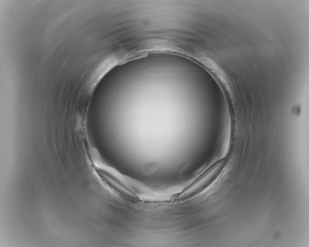 X0000091591385200709101031