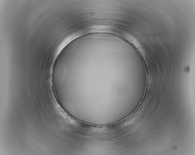 X0000091591386200709101031