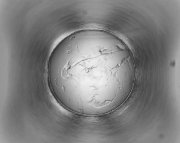 X0000091591387200709101031