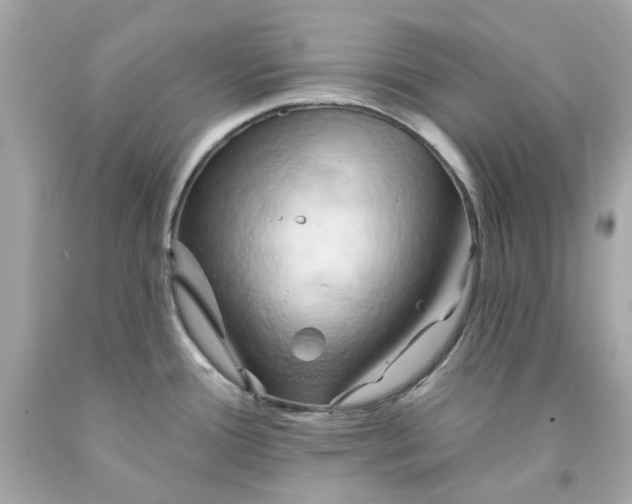 X0000091591388200709101031