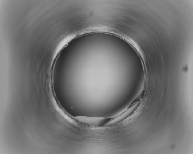 X0000091591389200709101031