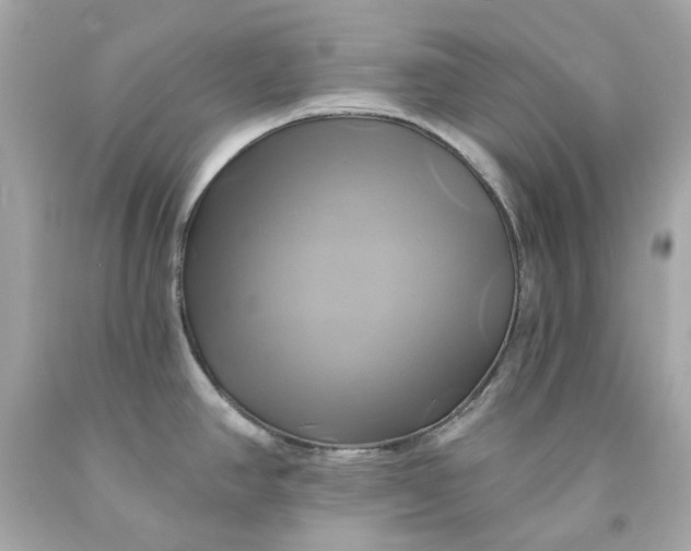 X0000091591390200709101031