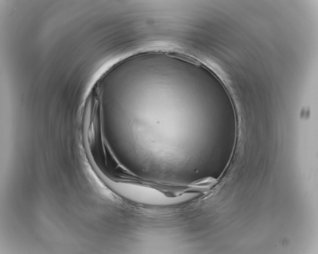 X0000091591392200709101031