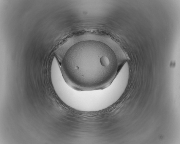 X0000091591394200709101030