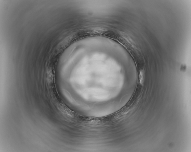 X0000091591395200709101030