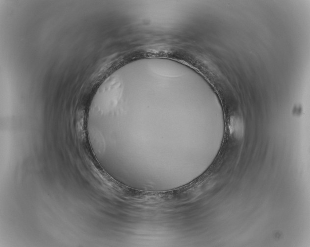 X0000091591396200709101030