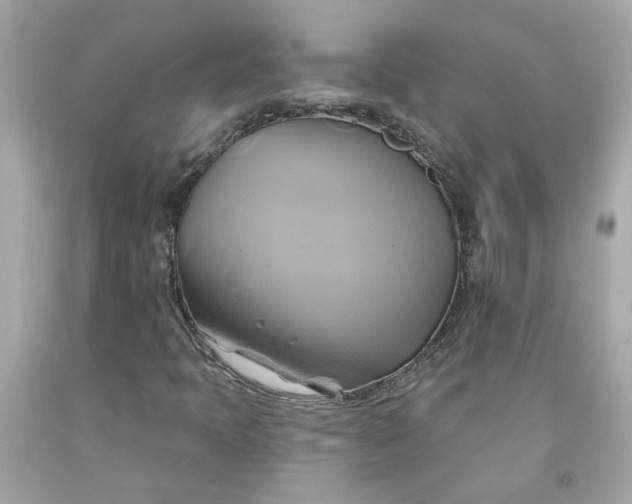 X0000091591397200709101030