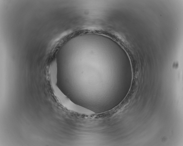 X0000091591398200709101030