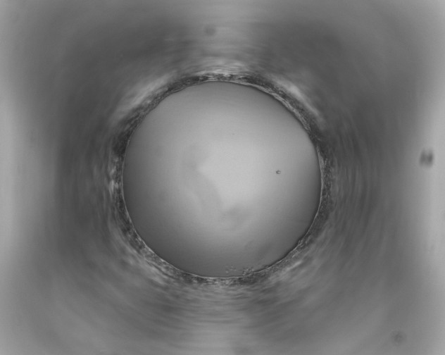 X0000091591399200709101030