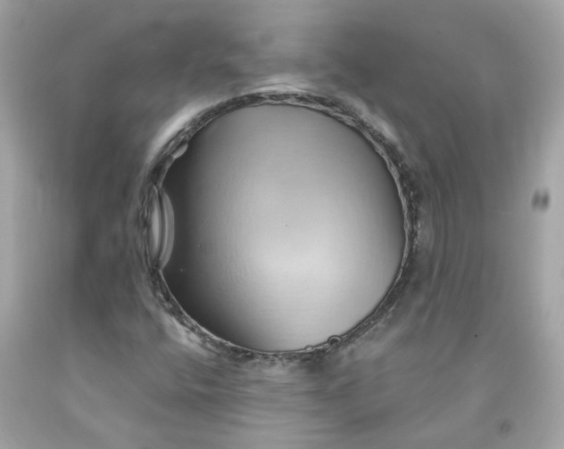 X0000091591400200709101030