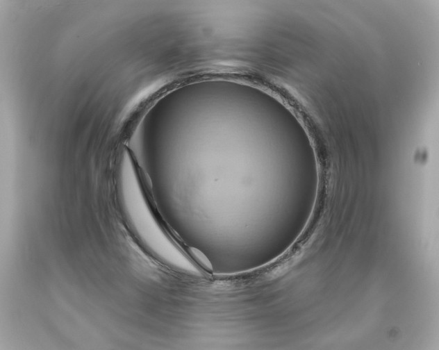 X0000091591402200709101030